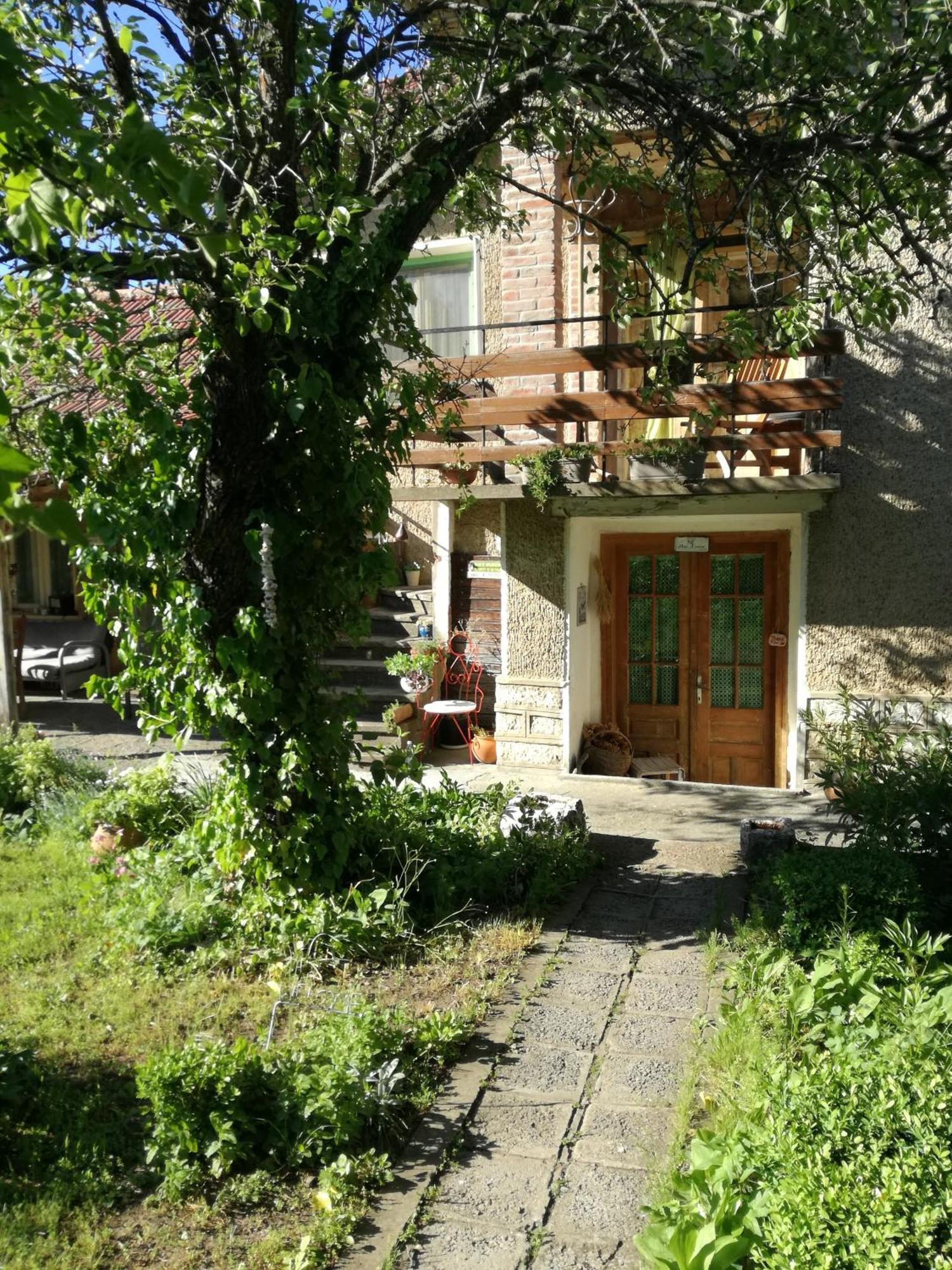 Hotel Bilkarskata Kashta à Gorsko Slivovo Extérieur photo